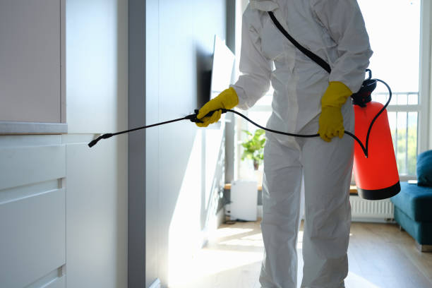 Best Biohazard Mold Removal  in Eureka Springs, AR